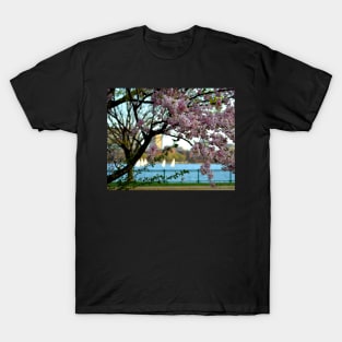 A spring day on the Charles River T-Shirt